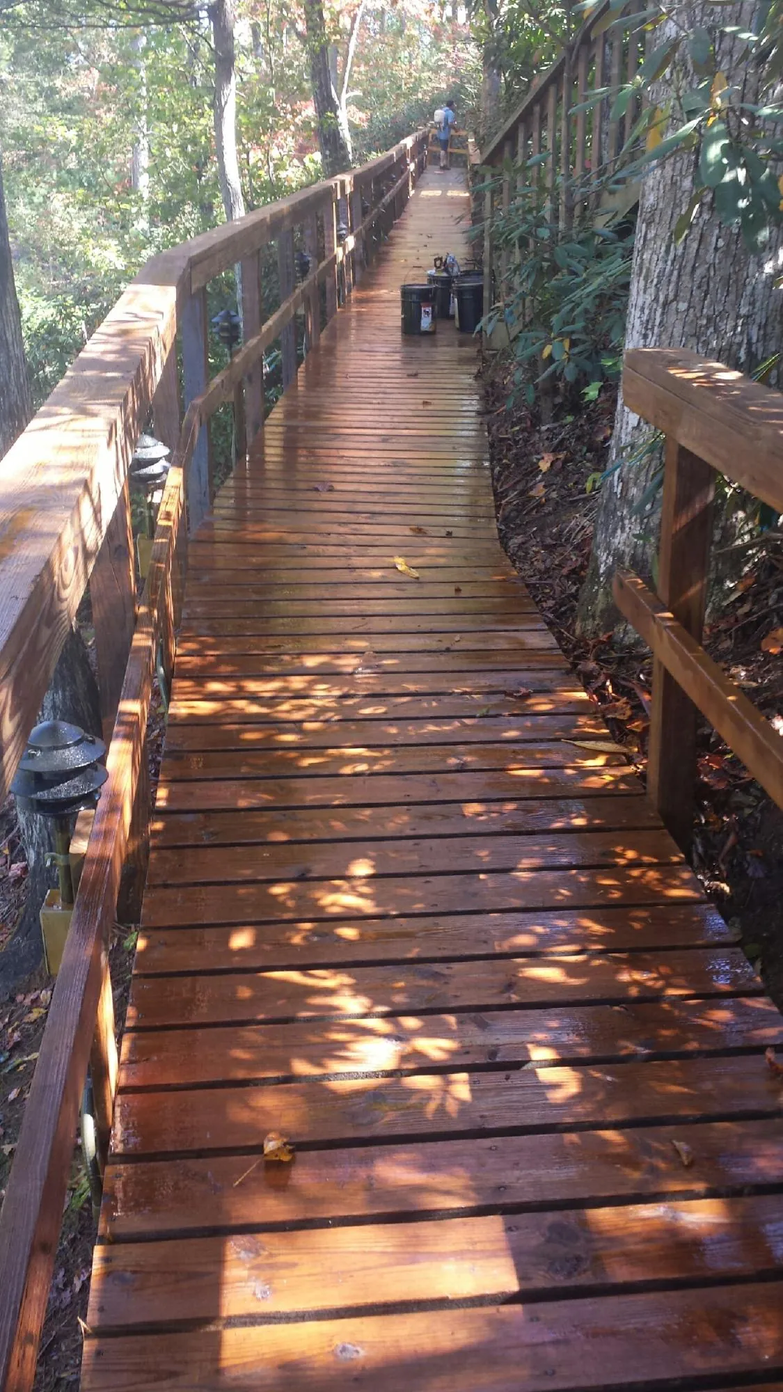 Freshly stained wood walkway winding through the woods in Conestoga