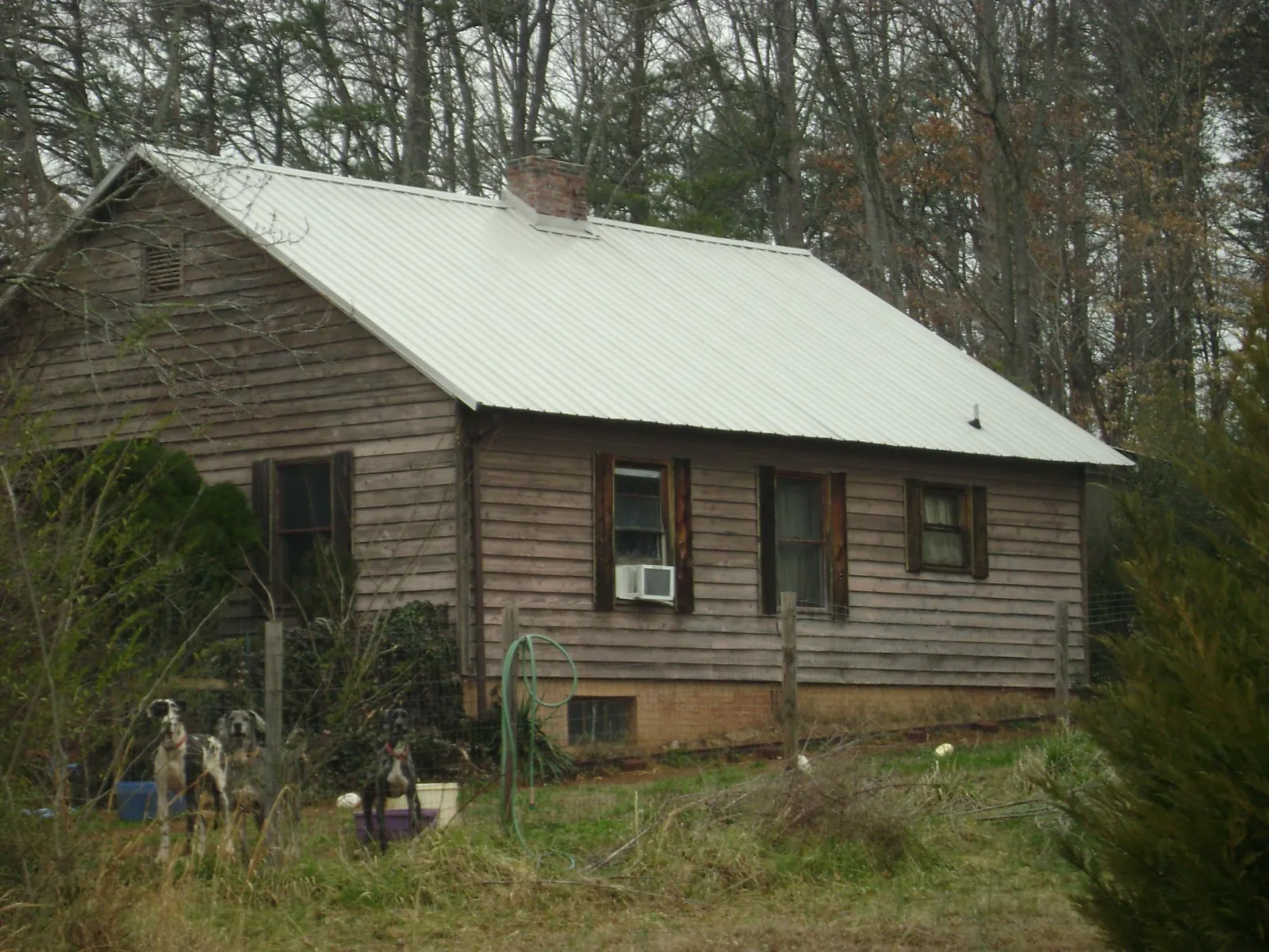White metal roof on an old wood sided farmhouse, from a Asphalt Shingle Roof Repair job in Conestoga